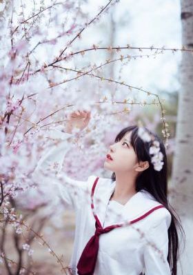青囊传电视剧免费观看_超清电影免费在线
