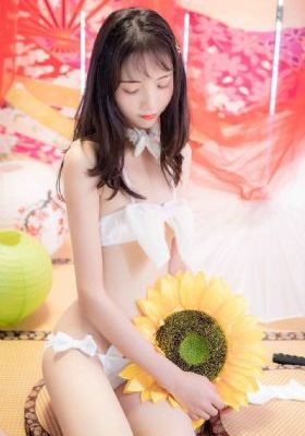 拉布拉多警长动画片全集免费_高清电视剧观看